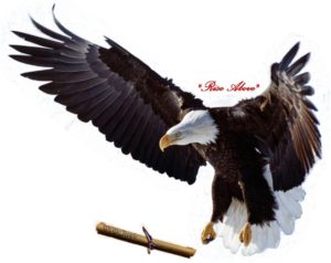 wethepeopleforthepeople.us - Chat Forum