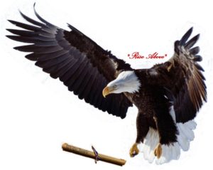 We The People For The People